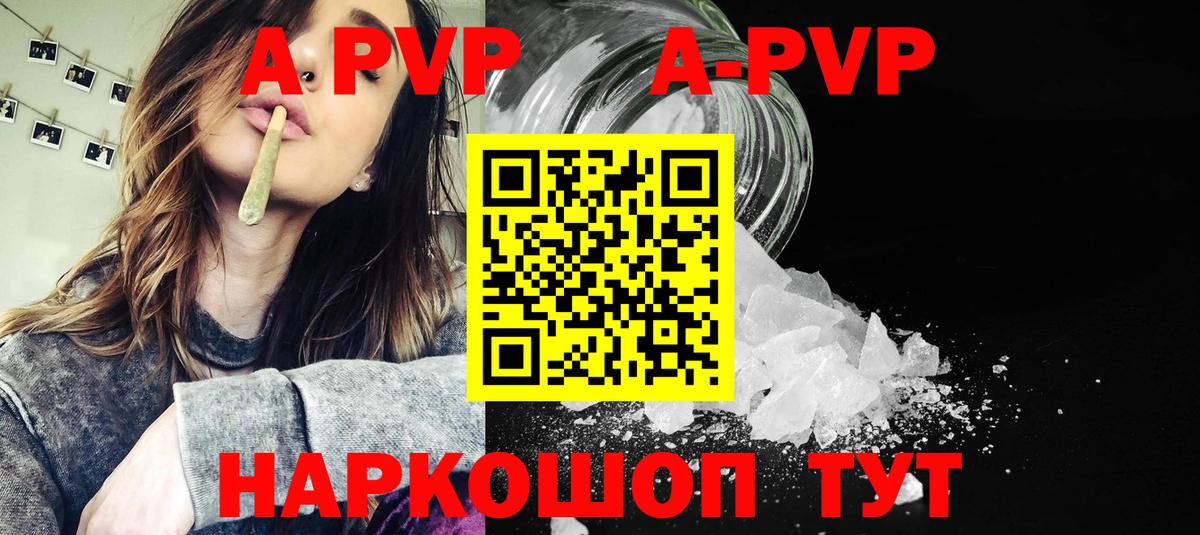 A PVP СК КРИС Аргун