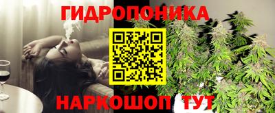 гидропоника Аргун