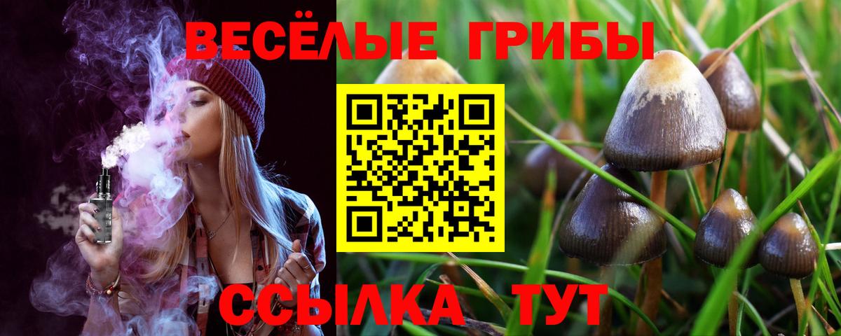 Псилоцибиновые грибы Cubensis  Вход с VPN  Аргун 